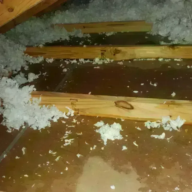 Attic Water Damage in Long Hill, CT